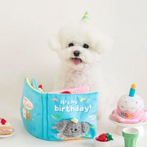 BC 인스코리아 그리운 음식 귀여운 킁킁 소리 독서 장난감 강아지 티베트 음식 책 애완 동물 생일 아마존 수출, 빨간색 (6월 말 발송)
