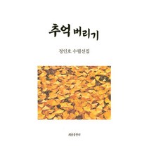추억 버리기, 정인호 저, 세종출판사(이길안)