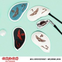 레쟈아이언커버SET 아이언커버 골프아이언커버 아이언헤드커버 골프채커버, 1, 브라운