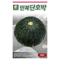 땅콩 호박 씨앗 10립 - 단호박 호박씨 호박씨앗 채소 야채 재배 주말 농장 텃밭, 03_다농_만복단호박(20립)