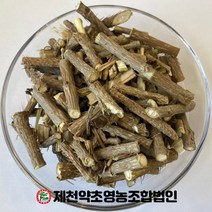 가시오가피 (가시오가목) 500g 제천약초영농조합 제천약초시장, 1