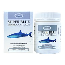 네이쳐스탑 호주 청상어연골 750mg 120캡슐 콘드로이친 콘드로이틴 뼈 연골 골다공증 관절염 갱년기 손목, 120캡슐 (x 1개)