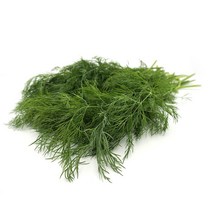 딜 Dill 100g 국내산 허브 향신료, 1개