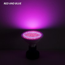 식물성장램프 실내 wenni e27 led e14 led 빛 스펙트럼 전구 gu10 48 60 80 126 200leds 온실 mr16 phyto b22, 빨간색과 파란색, e27 126leds 85-265v, 2년 보증