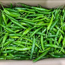 영호네농산물 청양고추 특품, 1box, 5kg