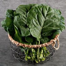 [KT알파쇼핑]두리 케일 녹즙용 2kg