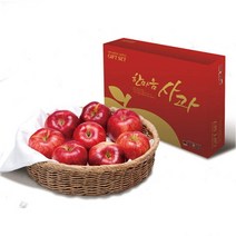 2023설 남도장터 에코한마음 저탄소 장성사과 5kg (12과/부사 선물용)