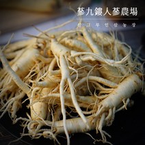 (삼그루) 세척파삼 5~6년근 바로먹는 수삼 금산인삼 세척인삼 세척수삼 굵은파삼, 선택1 세척파삼 300g
