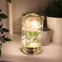 [비아케이] 핑크 트윙클 로즈 돔 LED 무드등, 단품