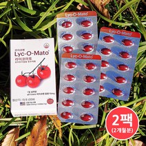 라이코펜 토마토효능 항산화제 라이코마토 15mg 2팩(2개월분), 단품, 단품