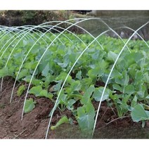미니 비닐 하우스 활대 프레임 텃밭 주말농장, 두께 8mm 길이 3m 30개
