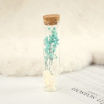부케돔 안개꽃 미니 말린 보존 꽃 유리 표류 웨딩 파티 장식 위시 병, 5.1PCS Gypsophila