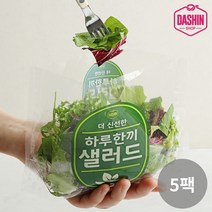 [다신샵] 3회세척 신선한 하루한끼 샐러드 믹스/ 6가지야채, 5팩