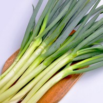 [익산원예농협] 건강한 국내산 대파 1단 (2kg / 4kg 내외), 2kg내외 작은단 1단, 1개