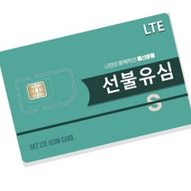 KT LG SK 선불유심 데이터 칩 선불폰 요금제 유심 개통 무료 카드 통신연체 구매, 1개