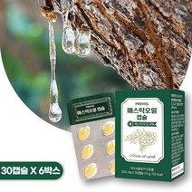 매스틱오일 매스틱복합체 캡슐 정 매스틱검 메스틱검 MASTICGUM greek 마스틱 하이 추천, 6개, 30캡슐