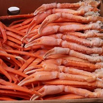 속초 붉은대게 5kg 3L/홍게/홍게섹션/홍게라면/가족모임/집들이
