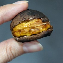 햇밤 국내산 칼집밤 알밤 삼조생 밤 2kg 대 칼집있음 군밤용밤