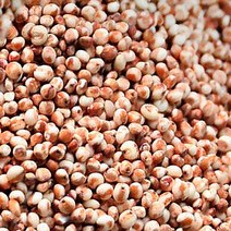 찰수수 찰수수효능 수수 찰수수가격 수수효능 수수가격, 1개, 1kg