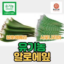 유기농 알로에 생알로에 알로에베라 사포나리아 친환경 무농약 알로에 식이섬유 다이어트 장건강, 유기농알로에베라 3kg