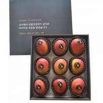 망고선물세트 애플망고 9개 프리미엄 선물세트