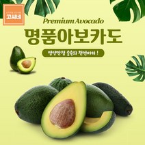 고씨네 특급 아보카도1.5KG 아보카도오일 아보카토, 상품선택, 냉동아보카도1.5kg