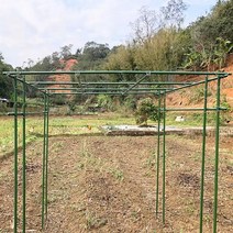 포도 나무 지지대 Diy 지지대 가든 다육이 재배 뼈대, 두께20mm길이2.4m폭2.4m높이2.4m, 1개