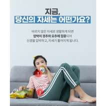 내 몸에 맞춘 인체공학적 설계 근육을 시원하게 60개 지압돌기 릴렉스 스트레칭 보드
