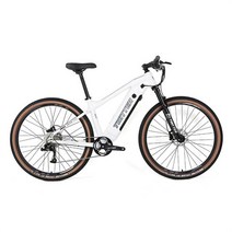 배달 전기자전거 알루미늄 합금 전기 자전거 . 통합 토크 속도, 01 WHITE, 02 Speed type48V350W10A