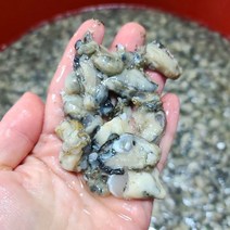 껍질 손질 깐 굴 1kg 남해안 자연산 돌굴 조선굴 바다의우유