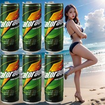 게토레이 240mlx30캔, 1, 240ml