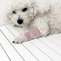 애완용품 슬개골탈구 장애견 다리밴드 휠체어 맞춤 제작하다 강아지 무릎보호대 대형견아웃도어, 01 블랙K016, 01 S 소형