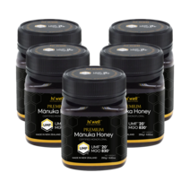 하이웰 마누카허니 UMF 20+ 250g (MGO 830) X 5개