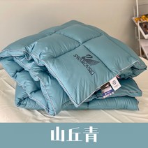 보온 두껍게 호텔 스왈로브 스키 가을 하위 외국 거래 오리털이불, C07-산