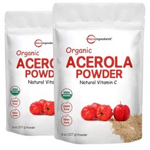Micro Ingredients Organic Acerola Cherry Powder 마이크로 인그레디언트 아세로라 체리 파우더 227g 2팩, 1개, 1
