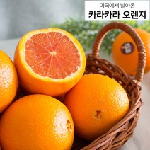 23년 2월제철 고당도 카라카라오렌지 2kg 4kg 8kg 10과 20과 40과 택배 배송, 20과 4kg 내외(개당 200g 내외)