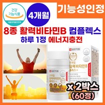 활력 비타민 비타민B 컴플렉스 비타민b 온가족 비타민 멀티 종합 비타민 식 약 처 인정 피로회복 고함량 비타민 B군 vitamin b complex 비타민 비 보충제 영양제 추천, 2박스, 60정