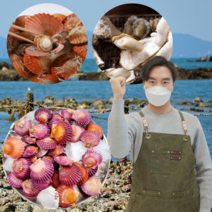먹사부 [산지직송] 통영 활 홍 가리비 석화 뿔소라 비단 참 캠핑 조개구이 세트 단품 모듬 구이용 찜용 1kg 2kg 3kg 5키로, c. (SET) 가리비[1kg] 뿔소라[1kg]