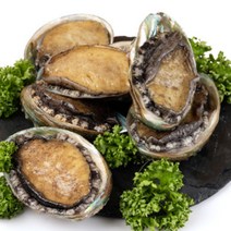 완도 활 전복 제철 1kg 산지직송, 8)전복 꼬꼬마 45~50미 1kg, 1개