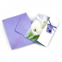 바른손 포유 축하카드 생일카드 감사카드, 랜덤