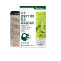 광동 혈행 기억력 징코 60정, 6개