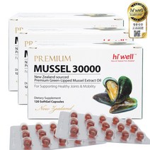 하이웰 뉴질랜드 초록입홍합 오일 30000mg 120정 3개 - 주문 후 10일이내 수령예정(공휴일제외), 뉴질랜드 프로폴리스치약외, 120정 - 3개