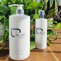 더트블로 남성 올인원 대용량 스킨로션, 1000ml, 에센스타입(DUSK)