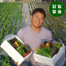 양주농부 모듬채소 20종 클로렐라 쌈채소 유러피안 샐러드 야채 800g-1.2kg, 1박스, 클로렐라쌈채소 1kg