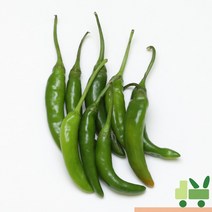 사라상회 청양고추 2Kg (상), 1박스