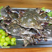 연평푸드에서 선별한 서해안 급냉꽃게 국내산 100%, 급냉 꽃게, 암꽃게, 1kg