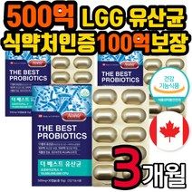 the 베스트 종합 유산균 500억투입 100억보장 프로바이오틱스 캡슐 가루 분말 Probiotics 장 건강 락토바실러스 영양제 직구 50대 60대 70대 남자 여자 남성 여성