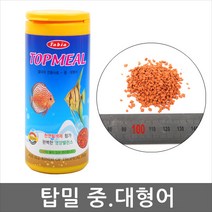 타비아 탑밀중대형어, 1개