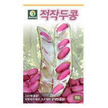 적작두콩 씨앗 30립 OK, 5개
