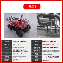 전기 전동 오토바이 어린이 해변 자동차 미니 사륜 전기 자동차 전 지형 산악 자전거 광장 놀이터 대여 오프로드 오토바이, 패키지 3 36V12A Chaowei 800W 드라이브